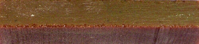 Froggy Burgundy Acrylester 118 1