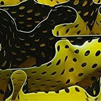 Canary Water Mesh BTW23KSM Acrylic (2 pc) Knife Scaless 1/4" x 1 1/2" x 5"